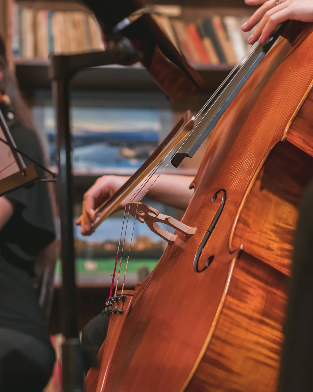 vertical-shot-musician-playing-violin-orchestra (Custom)